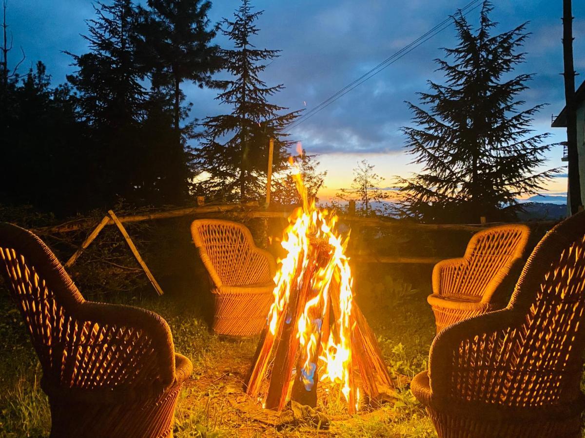 Aachman Nature Valley Resort Šimla Exteriér fotografie